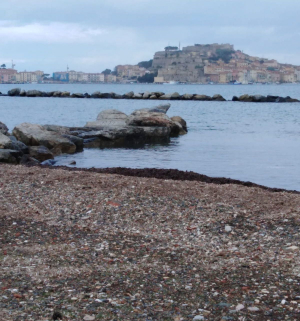 Portoferraio: volontari ripuliscono la spiaggia di San Giovanni