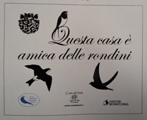 Il 13 maggio la Festa della Rondine a Pomonte