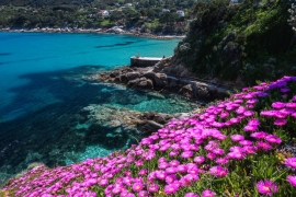 L&#039;Elba che si prepara alla stagione attendendo  le decisioni del Governo sul piano vaccinale