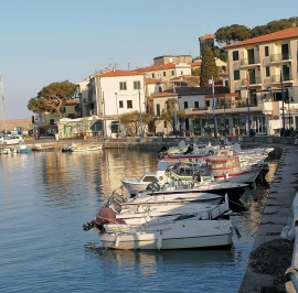 Lega: Regione disattenta sui porti minori   contestazioni alla gestione della A.P.R..  Marina di  Campo è tra i punti più dolenti