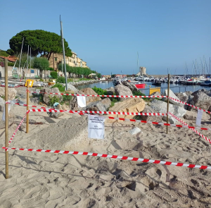 Nido marinese della Tartaruga marina, un evento inaspettato a nord dell&#039;isola