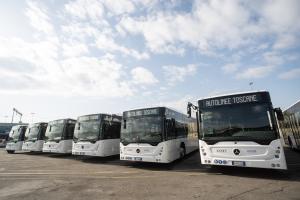 Le isole e la costa e della Toscana a portata di bus