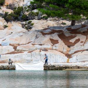 Anadyomene. Nascente dall&#039;acqua - Installate dall&#039;artista Roberto Ghezzi le ultime due tele