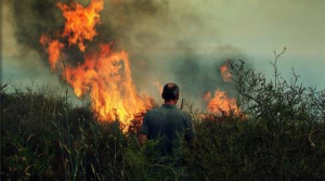 Incendi, prorogato al 3 aprile il divieto assoluto di abbruciamenti