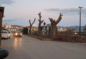 Verde pubblico a Portoferraio: da curare e incrementare