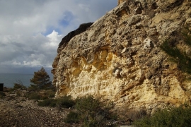 Elba da scoprire: geologia e pittura - il 20 febbraio conferenza digitale