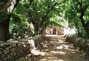 Le passeggiate e le escursioni della Settimana delle Castagne