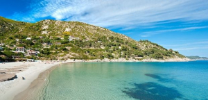 Elba: le praterie di posidonia rilasciano metano decenni dopo la loro morte. Sorprendente scoperta a Fetovaia