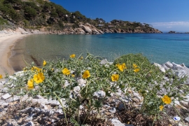 Foto di Roberto Ridi