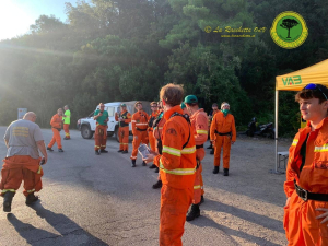 Incendio all&#039;Elba, Anselmi (Cgil): &quot;Un grande ringraziamento ai lavoratori e ai cittadini: poteva essere una tragedia&quot;