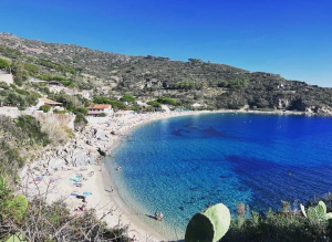 Puli... AMO Campo. Il 1° aprile i volontari sulle spiagge di Cavoli, Seccheto e Fetovaia