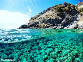 Foto di Alessio Gambini