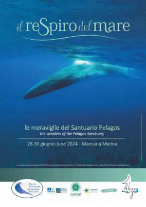 Il respiro del mare - Una mostra per scoprire le meraviglie del Santuario ‘Pelagos’