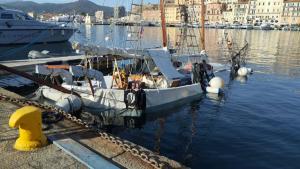 Affondamento di uno Yacht ormeggiato nella Darsena Medicea