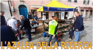 L’Azalea della Ricerca - Domenica 12 maggio a Portoferraio con il Lions Club elbano