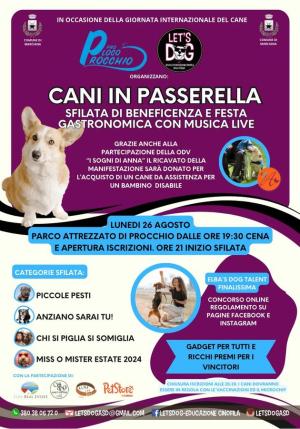 Cani in passerella, la sfilata di Let&#039;s Dog in occasione della festa internazionale del cane