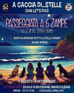 Passeggiata sotto le stelle con Let&#039;s Dog