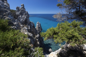 Al Giglio il bracconaggio dilaga anche nell&#039;area Parco