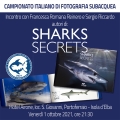 &quot;Shark Secret&quot; un libro per conoscere e ammirare uno tra i più grandi predatori dei mari