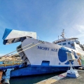 La Balena Blu va a spiaggiarsi? 