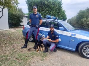 #senontiportononparto - lo spot della Polizia di Stato contro l&#039;abbandono degli animali