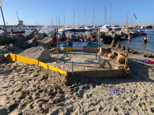 Salgono a 16 i nidi di tartaruga marina Caretta caretta in Toscana (la &quot;punta&quot; di 6 all&#039;Elba)