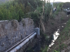 Tortore e rospetti morti. Cosa succede al &quot;Ponte del Brogi&quot;?