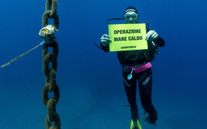 Tartarughe Marine: Lo spostarsi a nord della nidificazione è anche un segnale inquietante