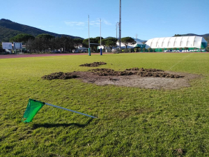 Annullato l&#039;evento di solidarietà dell&#039;Elba Rugby a causa della &quot;invasione di campo&quot; dei cinghiali