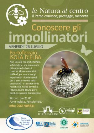 Conoscere gli impollinatori, a Forte Inglese il prossimo appuntamento del Festival “La natura al Centro”