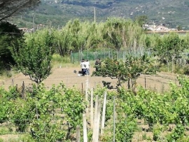 Nella foto le operazioni di soccorso