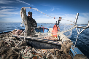 Il Parlamento approva nuove norme UE sul controllo della pesca