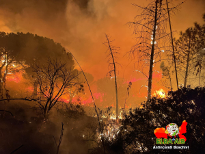 Incendio a Rio Elba, Coldiretti: &quot;ci vorranno 15 anni per ripristinare le zone verdi distrutte dalle fiamme&quot;