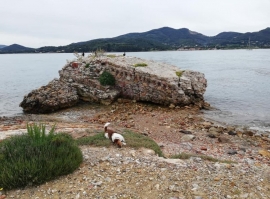 C&#039;era una volta il Grigolo (4) - Le bastardaie e i lombrichi a volontà