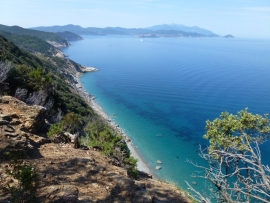 Stimoli per un dibattito sull&#039;ambiente per una maggiore concretezza