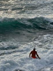 Messaggeri del Mare: “L&#039;Elba ha bisogno di una maxi nave che non soffra il mare mosso”