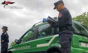 Cemento e manufatti abusivi nel Parco a Nisportino, denunciata una sessantaquattrenne