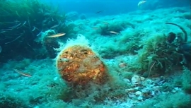 Golfo di Marina di Campo - continua la rassegna di video dedicati alla costa sommersa elbana