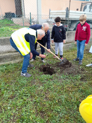 La Festa degli Alberi a Portoferraio