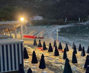 Le spiagge illuminate a giorno e quelle amiche delle tartarughe