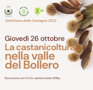 Settimana delle Castagne: giovedì 26 l’escursione al Bollero e l’incontro sulla botanica all’Elba