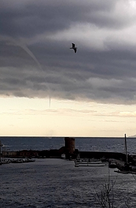 Fotonotizia: tromba d&#039;aria al largo di Marciana Marina