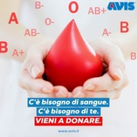 Carenza di sangue, l’appello di AVIS: «Doniamo adesso»