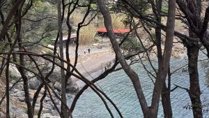 Pulita la spiaggia della Cala a Marciana Marina