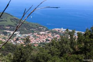 Sono scarse le &quot;forze&quot; della polizia municipale marinese