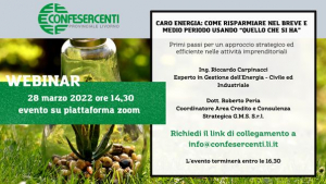 Webinar di Confesercenti sul caro energia: &quot;come risparmiare nel breve e medio periodo usando quello che si ha&quot;