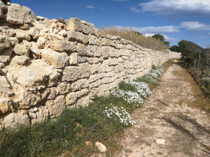 Pianosa, Regione propone un murale sul &quot;Muro Dalla Chiesa&quot;, ma c&#039;è chi vuole abbatterlo