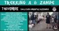 Trekking a 6 zampe con Let&#039;s Dog