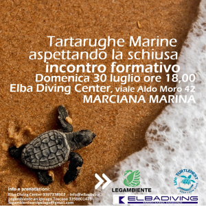 Tartarughe marine: minicorso a Marciana Marina aspettando la schiusa