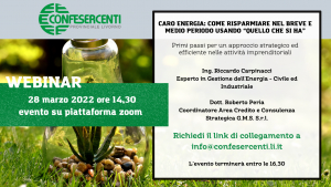 Caro energia - Webinar gratuito per un approccio strategico ed efficiente nelle attività imprenditoriali